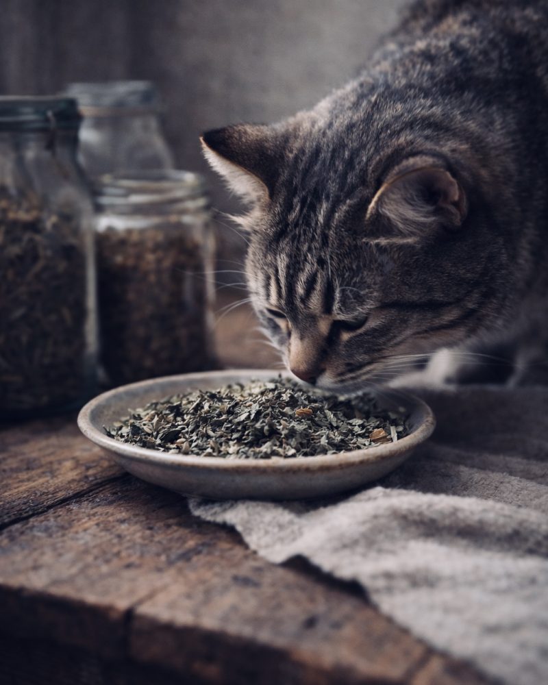 4226C92B-CB8C-41BB-8D7F-547B489DDB50