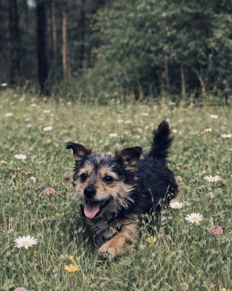 502AB60C-1810-4A8C-8156-E82EF425E33B