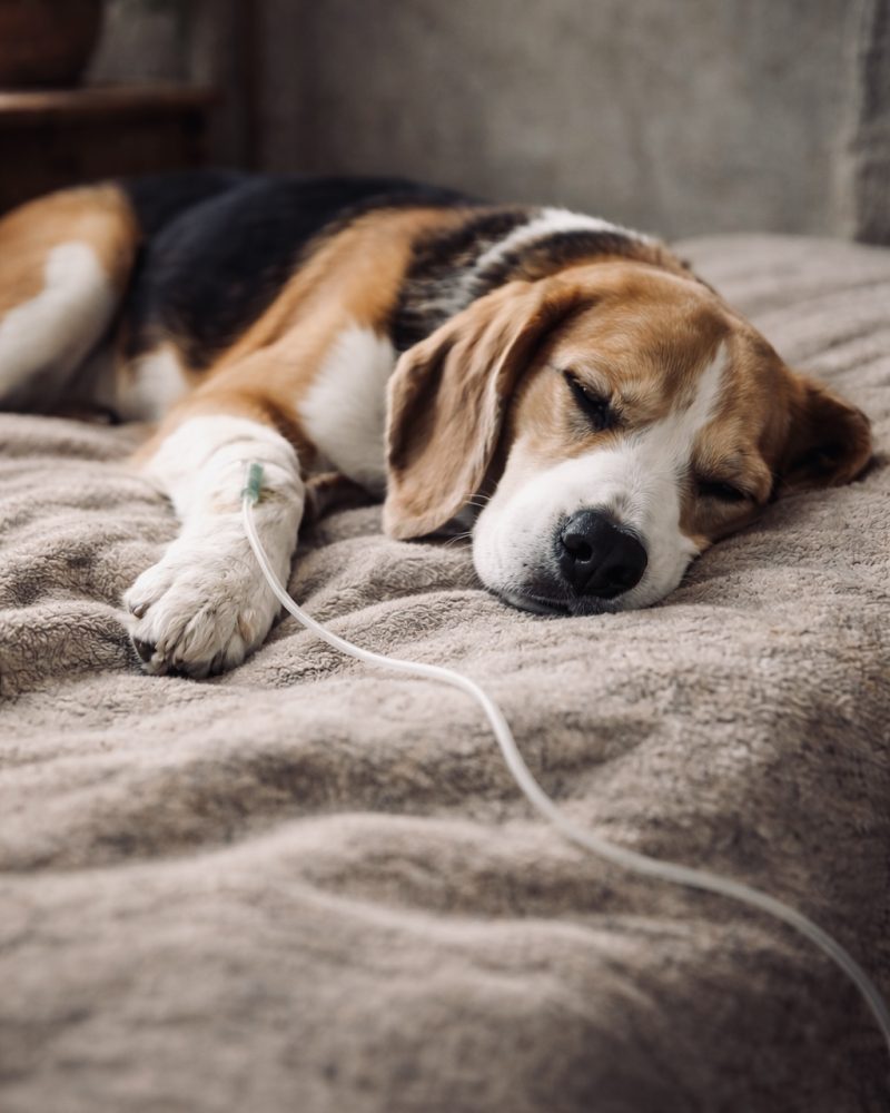 83298D0D-E1C5-43A5-9AB0-28255BD55661