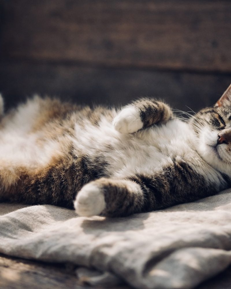 9B6F1C48-4771-454D-AA54-D045D748C59C